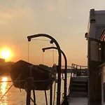 Bateau Pelican